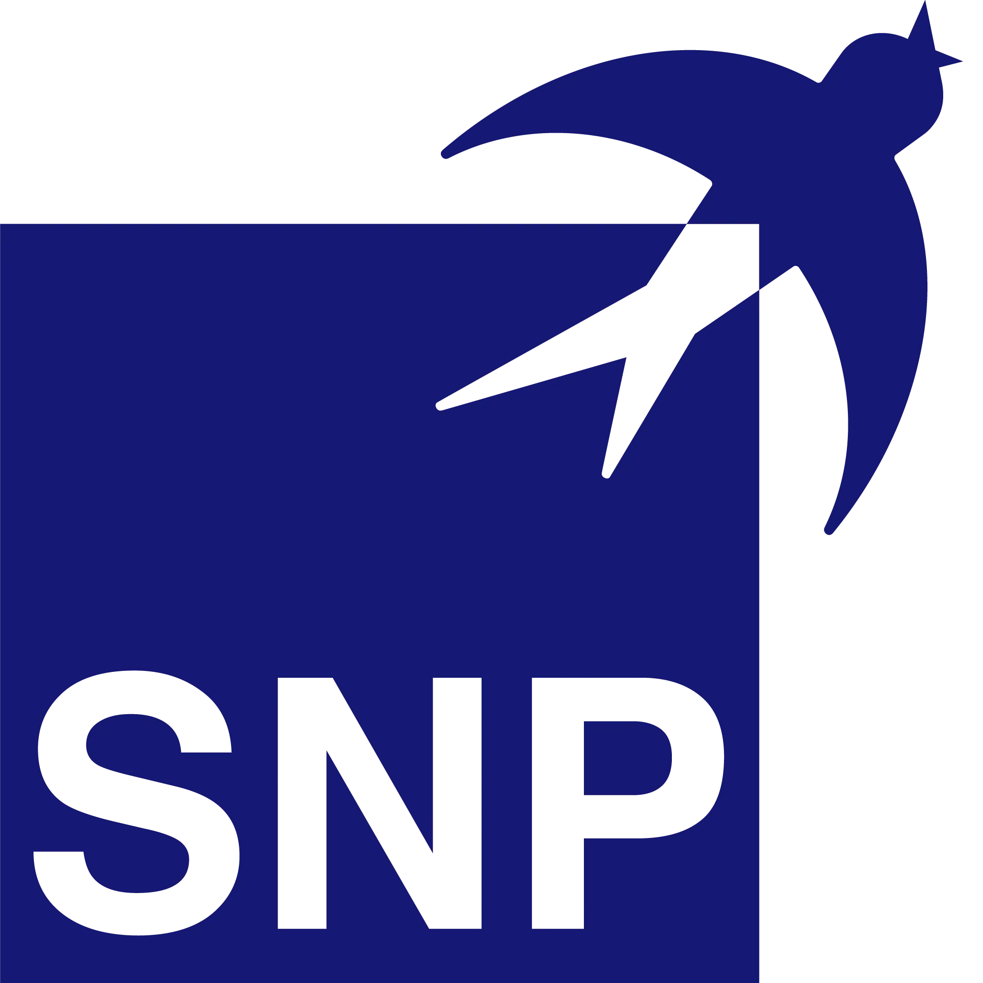 SNP_Logo_RGB_pos_2000x2000